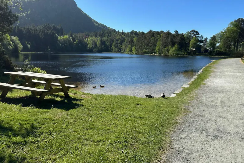 Kanadaskogen in Fyllingsdalen. Photo: Trude Haugen