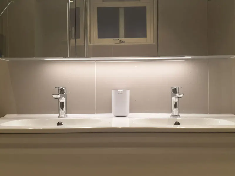 Master bathroom with double basin