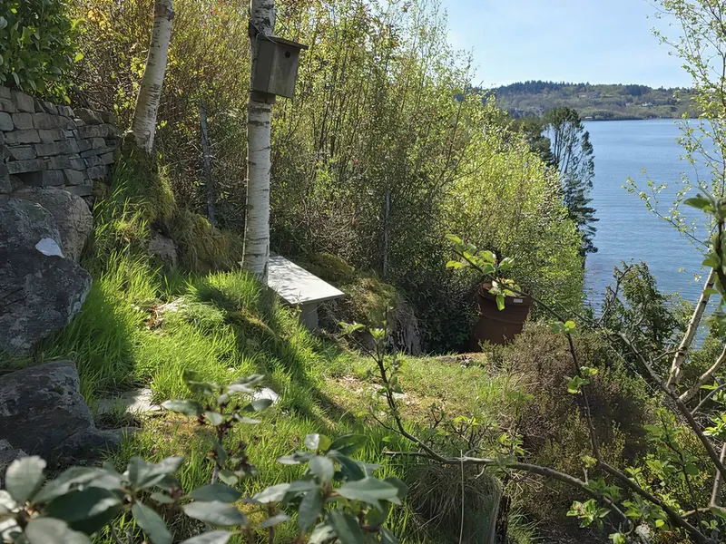 Garden bench with a view of the sea